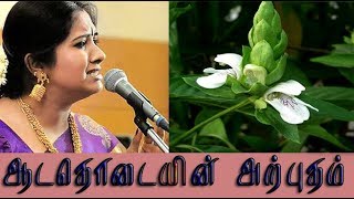 Justicia adhatoda medicinal uses  ஆடாதொடையின் வைத்திய முறைகள் [upl. by Ginsberg]