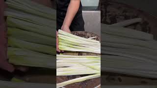 Spring Green onion cutting idea [upl. by Ellohcin]