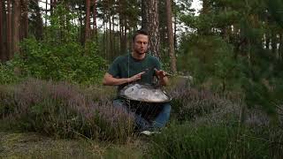 handpan meditation music in a Forrest handpan handpanplayer percussion handpanyogamusic [upl. by Cavan827]