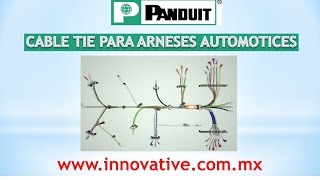 Cable Tie Para Arneses Automotrices OEM [upl. by Grosmark523]