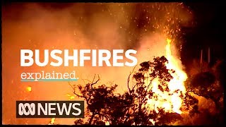 The science of bushfires explained  ABC News [upl. by Volding344]