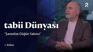 tabii Dünyası  quotŞanzelize Düğün Salonuquot  1 Bölüm [upl. by Annairol]