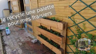 Je recycle une palette pour mes fraisiers Fabrication installation fraisiers [upl. by Garceau606]