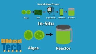 Biodiesel Production Methods [upl. by Burck]