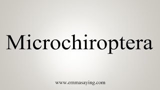 How To Say Microchiroptera [upl. by Aihseym]