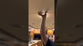 Video 1 Sagging Tray Ceiling [upl. by Aihsak]