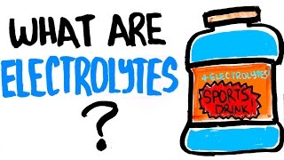 Why You Need Electrolytes  Can It Help With Getting Stronger [upl. by Aurelea]