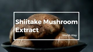 Herbal Extracts Shiitake Mushrooms Extract [upl. by Roselba]