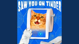 Saw You On Tinder [upl. by Sheeree]