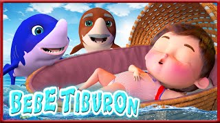 Tiburón Bebé 🦈 Baby Shark  Canciones Infantiles  Banana Cartoon Español [upl. by Shenan]