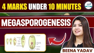 Megasporogenesis Explained in 10 Minutes  4 Marks Guaranteed  NEET 2025  Class 12 Botany [upl. by Mad]