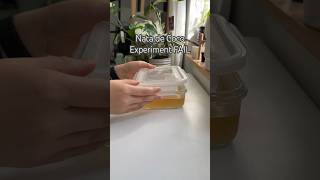 Nata de Coco FAIL shorts experiment fermentation food snack coconut diy recipe cooking [upl. by Jaquelyn]