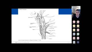 2022 ABSITE Review Vascular [upl. by Nylinej]