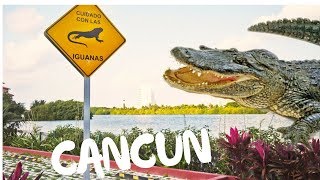 1 CANCUN MEXIKO 4K ◆Achtung Krokodile◆ [upl. by Garth33]