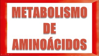 METABOLISMO DE AMINOÁCIDOS [upl. by Talya]