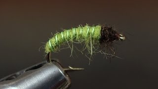 Green Caddis Larva [upl. by Anon77]