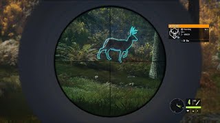 theHunter Call of the Wild  Whitetail Deer [upl. by Sergo]