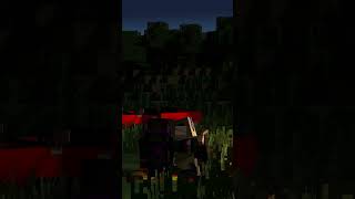 Love story 1 EndrinaampEnderboy minecraft nightteam [upl. by Einal606]