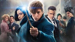 Fantastic Beasts and Where to Find Them Full Movie Fats And Information  Eddie Redmayne  Katherine [upl. by Ulah]