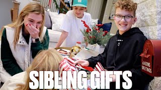 SECRET SIBLING GIFT EXCHANGE  GOOD GIFT VS BAD GIFT  BUYING CHRISTMAS GIFTS FOR SIBLINGS [upl. by Ani]