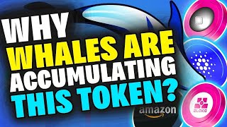 Why Whales Are Accumulating THIS Token Polygon zkEVM launch Cardano Bloktopia Amazon NFT News [upl. by Morty691]