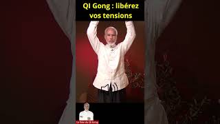 Qi Gong  Libérez vos tensions [upl. by Broddie878]