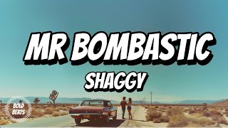 Shaggy  Mr Boombastic Official Lyrics Video  90s Reggae Hit [upl. by Ahtekal81]