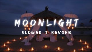 moonlight  harnoor slowed † Revorb lofi24wala lofi panjabi [upl. by Korten]