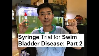 Syringe Surgery Trial for Goldfish Swim Bladder Disease Result PART 2👉 [upl. by Donohue]