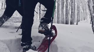 Ciaspolata alla Sellata  Sulla neve in Basilicata [upl. by Nolyd]