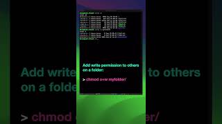 Linux commands for beginners part 17  Folder permissions shorts [upl. by Cammi]