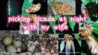 Amazing Idea To Pick Cicada At Night  Subtitles [upl. by Konstance]