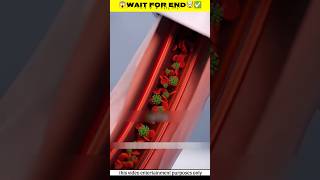 Dawai Kaise Sharir Mein jata hai🤯✅New Viral Gadgets Smart Appliances Kitchen Utensils shorts [upl. by Nesyt470]