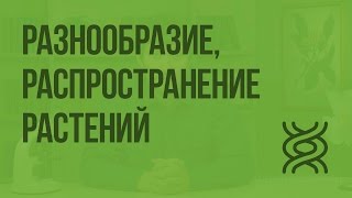 Разнообразие распространение значение растений Видеоурок по биологии 5 класс [upl. by Hteik]