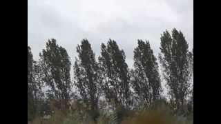 Part 2 High winds upto 8090 kmh Septembre 24 2012 [upl. by Janeen887]