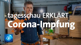 CoronaImpfung Wie Impfungen gegen das Coronavirus funktionieren  tagesschau ERKLÄRT [upl. by Ecinerev27]