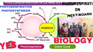 PHOTORESPIRATION PHOTOSYNTHESISNEETBOARDBIOLOGYMOST IMPORTANTAB ALL IS WELL [upl. by Clyve]