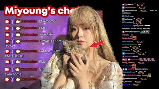 Valkyrae ENDS Miyoungs stream after her pet ACCIDENTALLY starts it [upl. by Anayt]