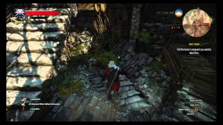 Witcher 3 Deadly 💀 SIGN BUILD for NG 🔥 Skills Gear Potions [upl. by Behka]