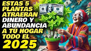 ESTE 2025 tienes que tener estas PLANTAS en tu CASA [upl. by Asir311]