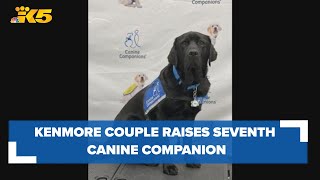 National Puppy Day Kenmore couple raises seventh puppy to become a Canine Companion [upl. by Phemia761]