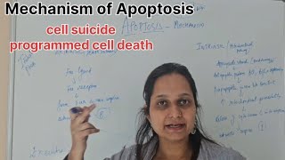 Mechanism of Apoptosis Gen Physiology Medical Neet [upl. by Aicilana]