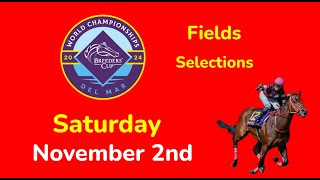 Breeders Cup Saturday 11224 Fields amp Selections  Full Card [upl. by Domela]