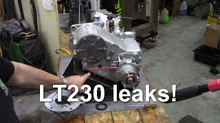 LT230 leaks [upl. by Ardnekahs956]