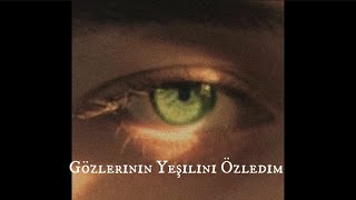 Seda Tripkolic  Gözlerinin Yeşilini Özledim Lyrics sunlyricssunlyricss [upl. by Auqinet]