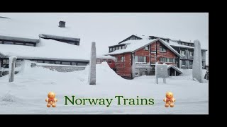 Norway Trains  Bergen to Oslo line  Part two Voss to Oslo [upl. by Bills]