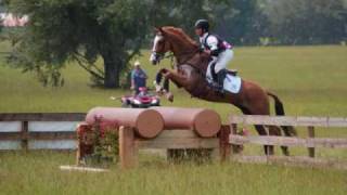 Horse jumping 6 feet [upl. by Akeylah]