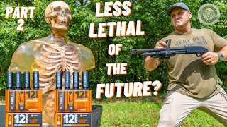 How Lethal Are Less Lethal Rounds  Part 2 [upl. by Leonidas248]