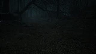 Blair Witch20241122151535 [upl. by Loftis]