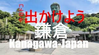 【鎌倉】長谷寺、鎌倉大佛、鶴岡八幡宮Vlog鎌倉 KamakuraJapan 【4K】 [upl. by Esiuole]